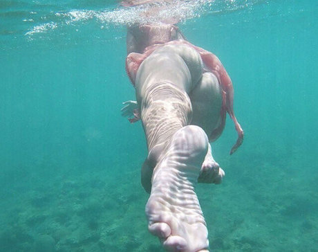 Danielle Colby modèle gratuit archive