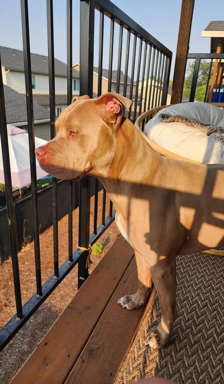 S and K Fotoaufnahmen