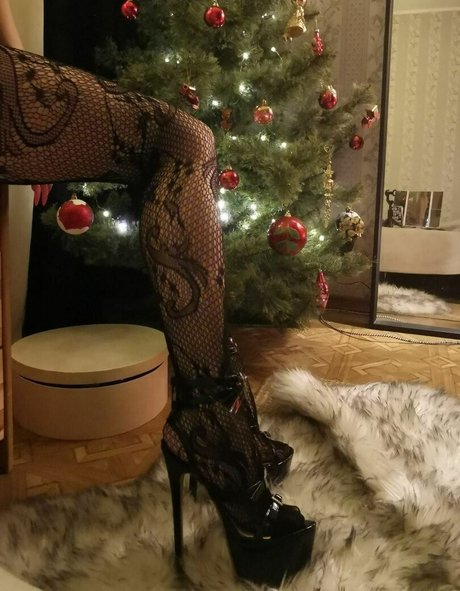 funsnail haut modèle images