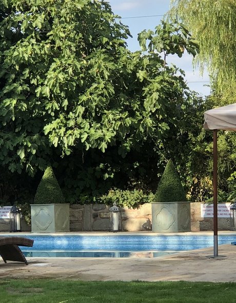 aldana30 modèle artistique photo