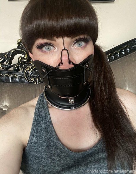 chaton potelé uniquementfans art sympa img