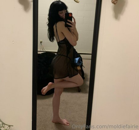 moldiecorpse art étoile galeries