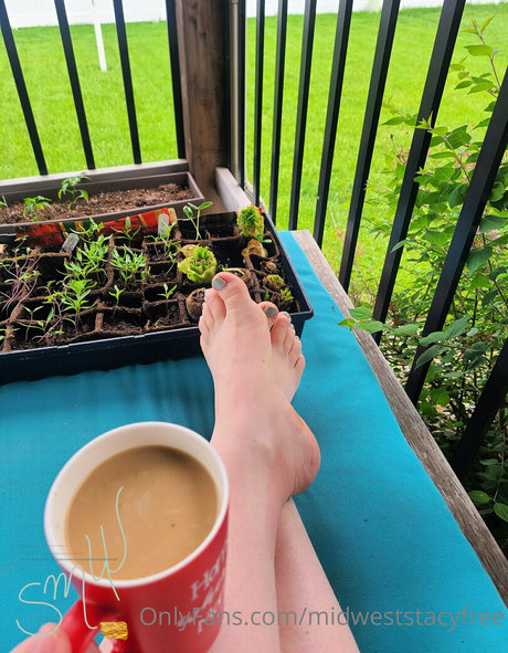 midweststacyfree étoile chaude archive