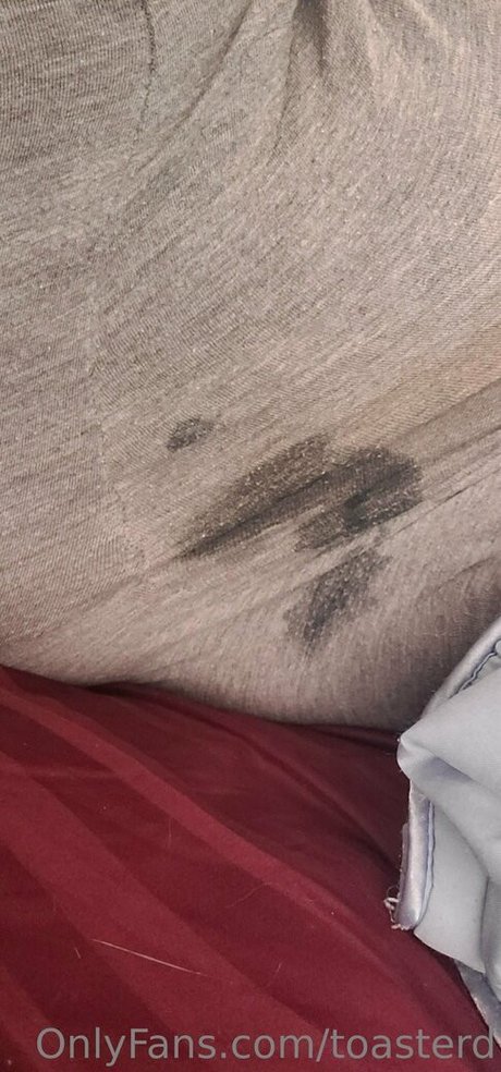 toasterd jolie étoile galerie