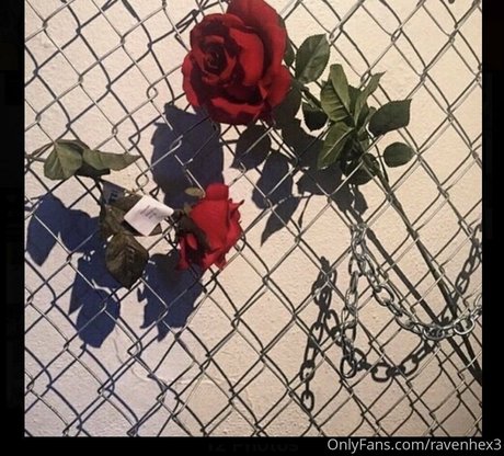 ravenhex3 modèle parfait photos