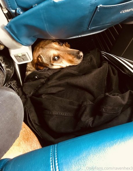 ravenhex3 star du porno images