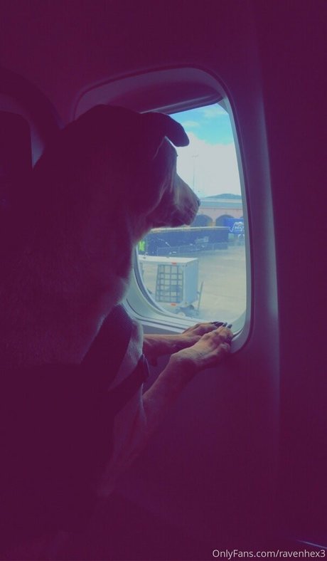 ravenhex3 star du sexe image