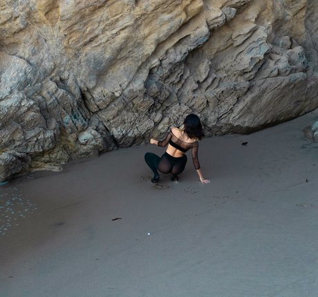 druflecha étoile nue galeries