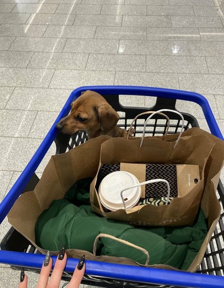 goddessaven star du porno exclusive photo