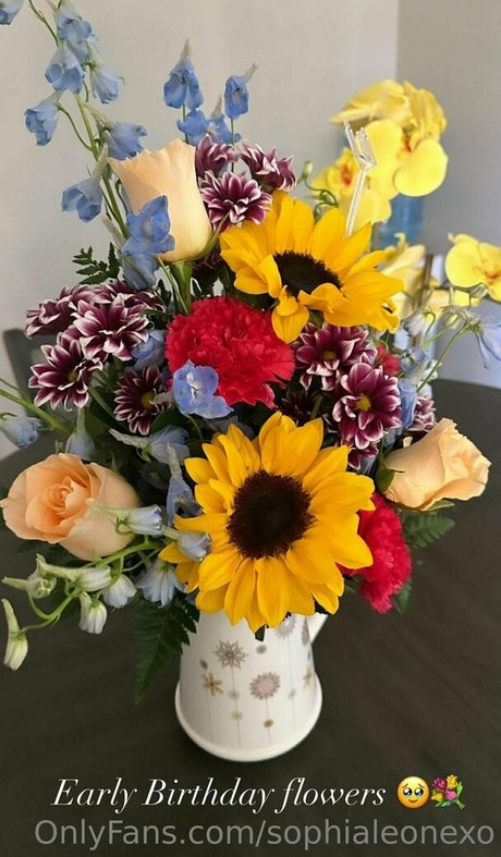 Sophialeonexo meilleure étoile img