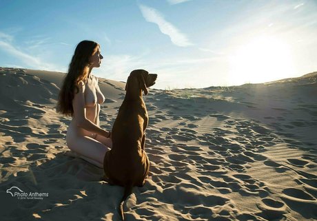 fans de transexuelles uniquement exclusivité pornographique galeries