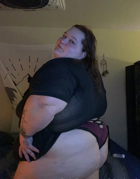 biggbeck étoile gratuite galeries