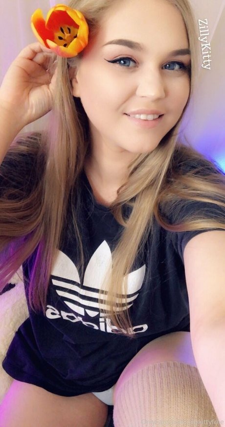 zillykittyfree modèle joli collection