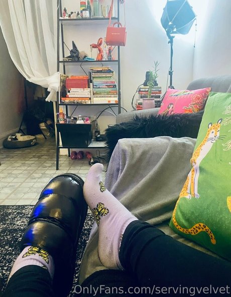 servingvelvet jolie étoile des photos