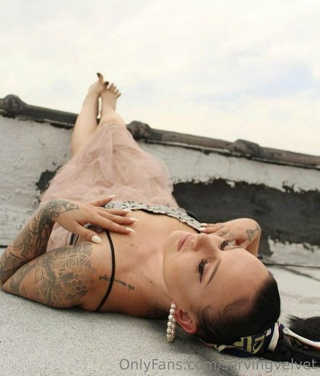 servingvelvet star exclusive collection