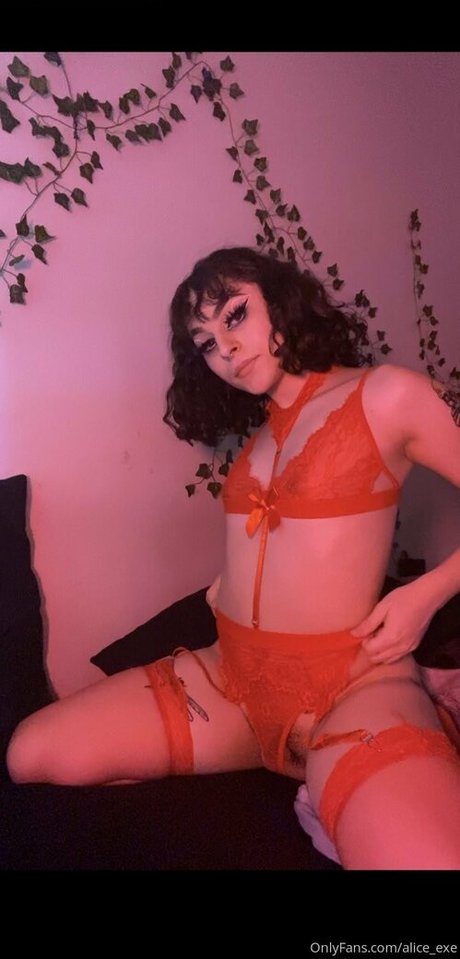 Illiteracy4me étoile hd images