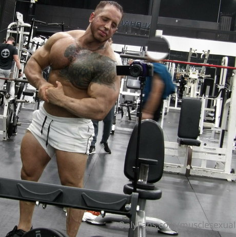 musclesexual étoile nue galeries