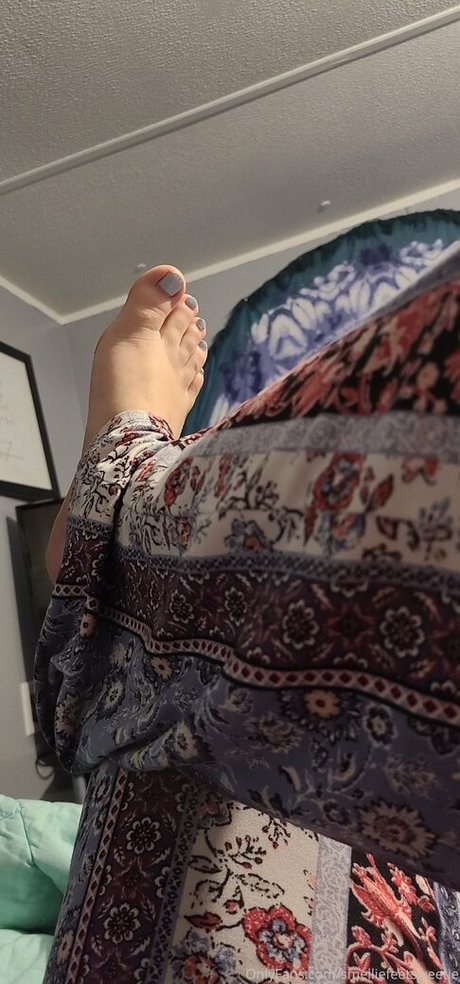 smelliefeetsweetie art de star du porno des photos