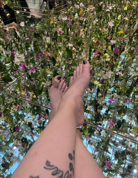 loritoes32 meilleure étoile galerie