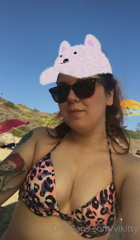 vikitty modèle gratuit image