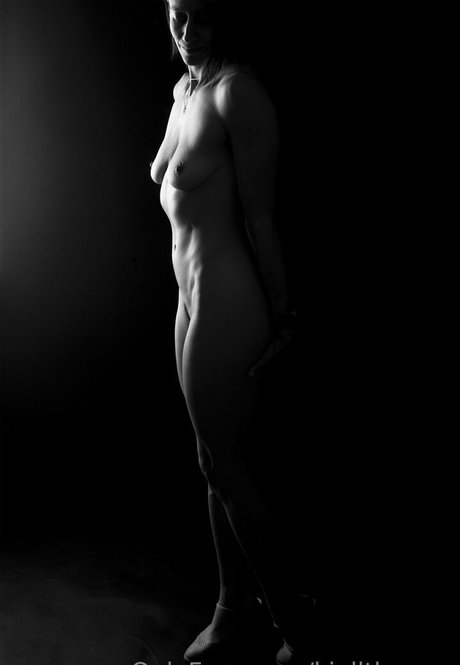 kjalltheway star du porno adulte archive