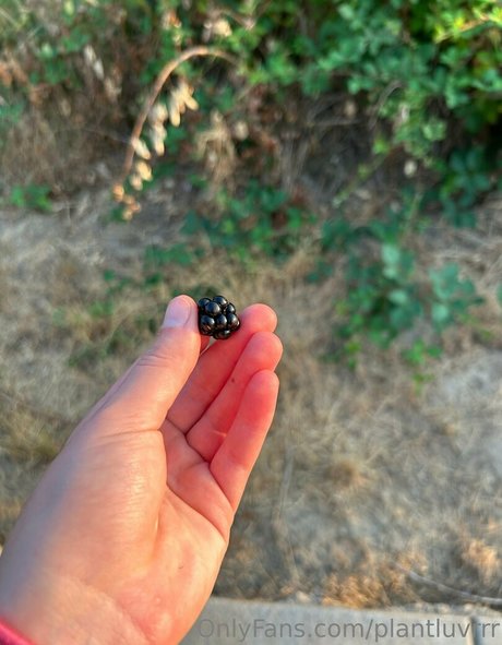 Plantluvrrr actrice libre img