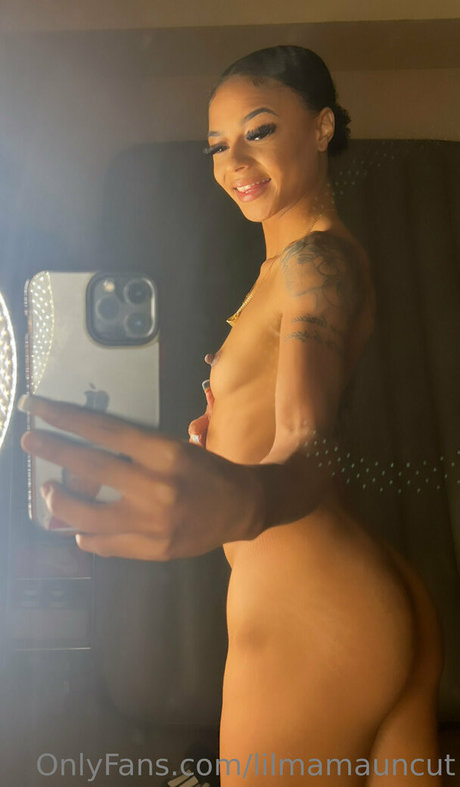 bitesizedmami art star du porno collection