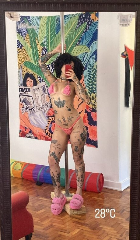 apropriad4mente étoile gratuite galerie