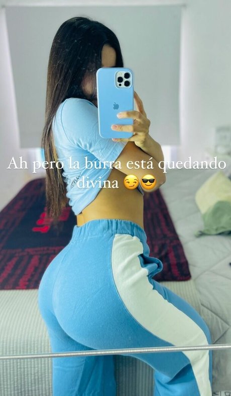 Seleneitor modèle meilleur galerie