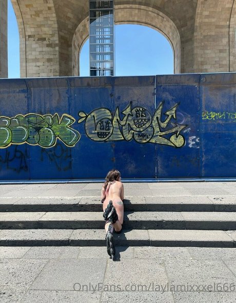 laylamixxxel666 étoile de l'art img