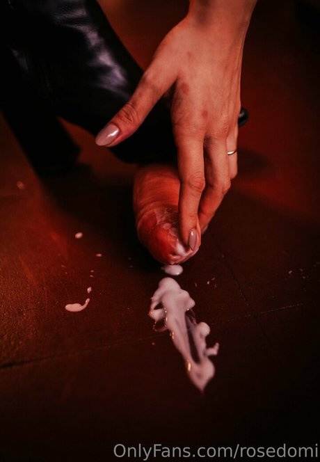 rosedomi étoile magnifique images