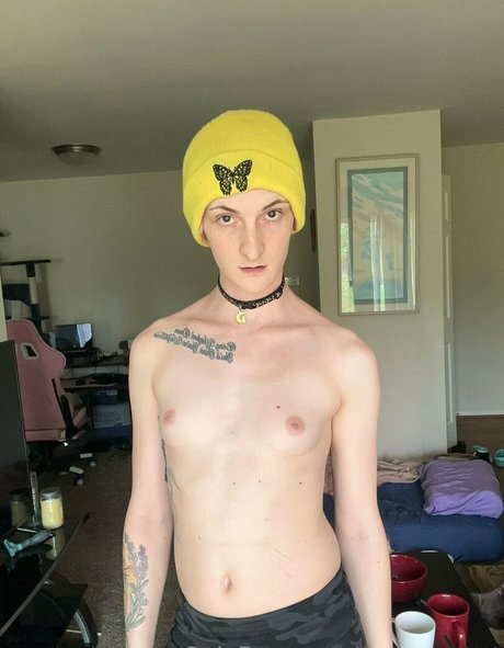 sunnyyy cat modèle artistique img