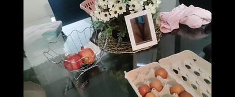 Bella Menezes Profilfoto