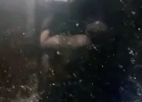 Bella Menezes star du porno images