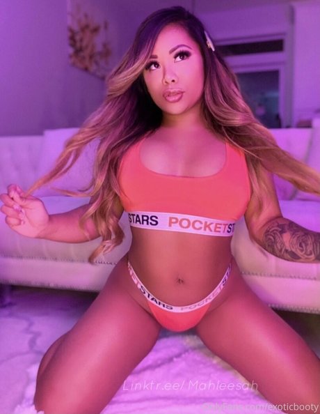 exoticbooty modèle pornographique archive