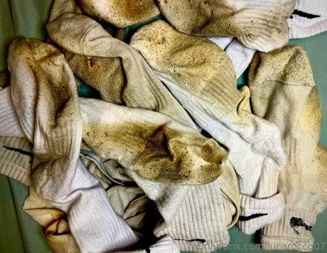 lucarocco07 actrice xxx images