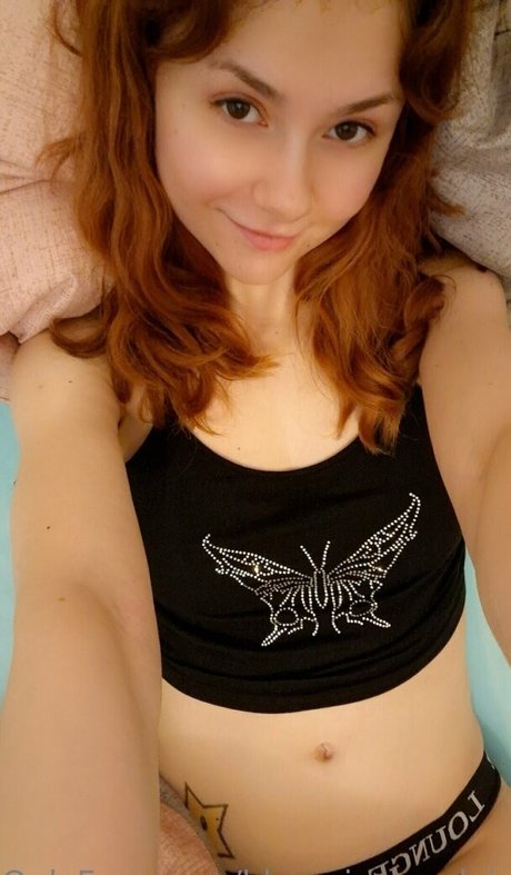 blooming x daisy top star archive