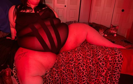 shellybobelly actrice de sexe image