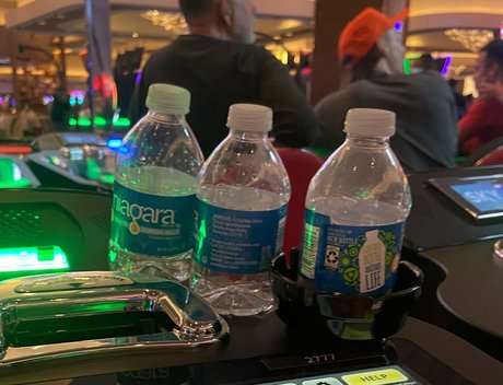 piper pipin pies star du porno érotique collection