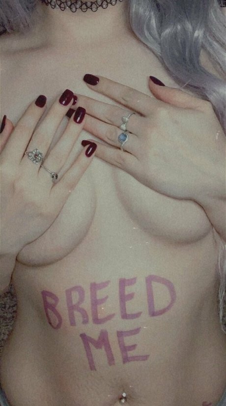 xangel 636 modèle img