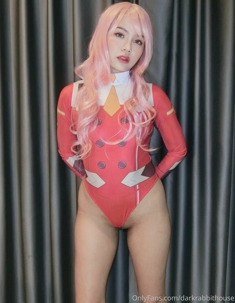 Darkrabbithouse modèle érotique image