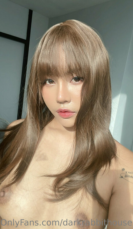 Darkrabbithouse star du porno adulte image