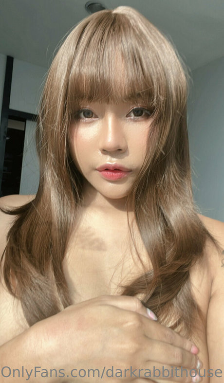 Darkrabbithouse art star du porno galerie
