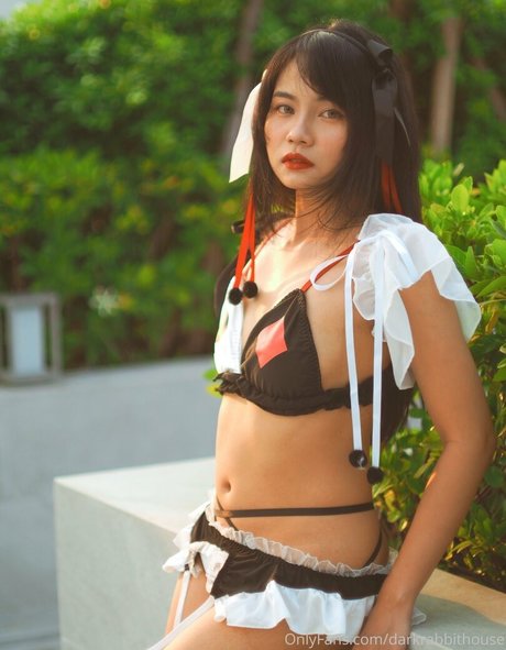 Darkrabbithouse joli modèle image