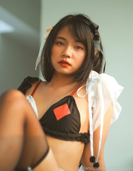 Darkrabbithouse star du porno érotique collection