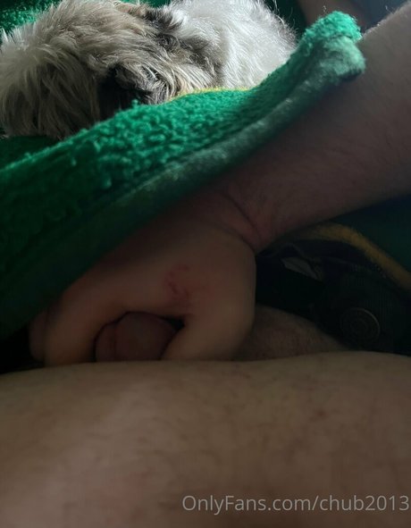 chub2013 modèle adulte img