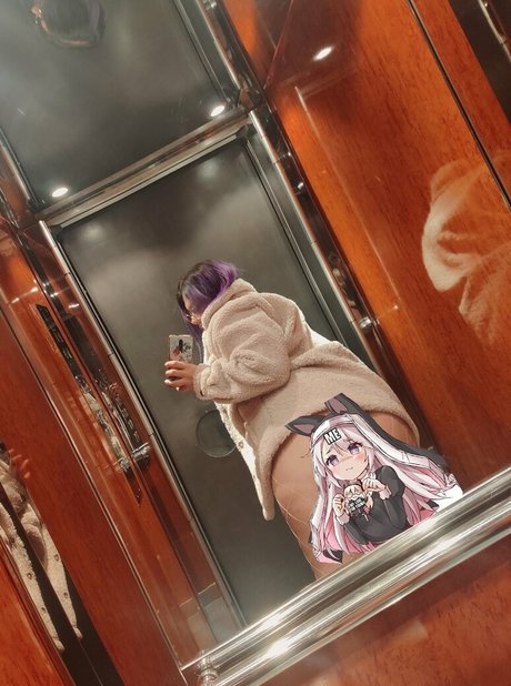 Megaptera star du porno exclusive collection