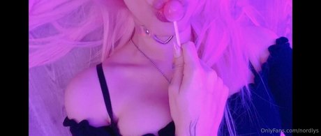 nordlys haut modèle img