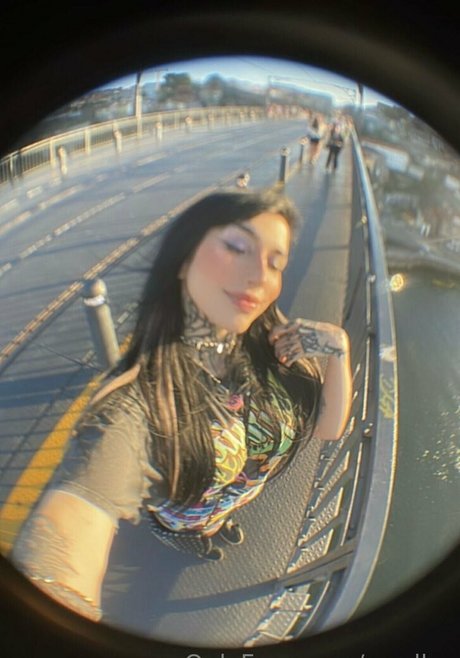 nordlys modèle de haute qualité photos