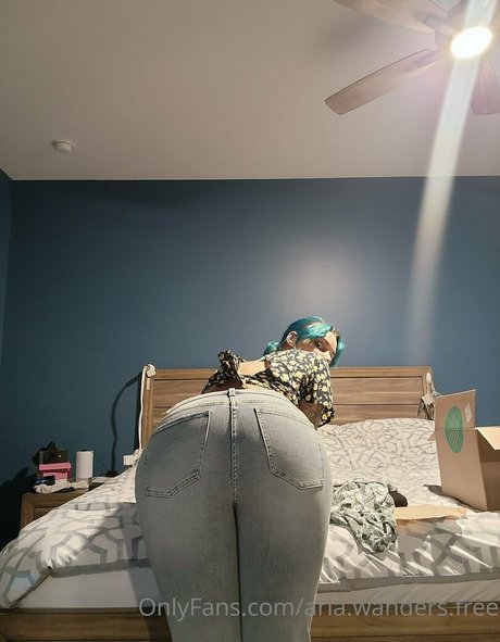 aria wanders free haut modèle galerie